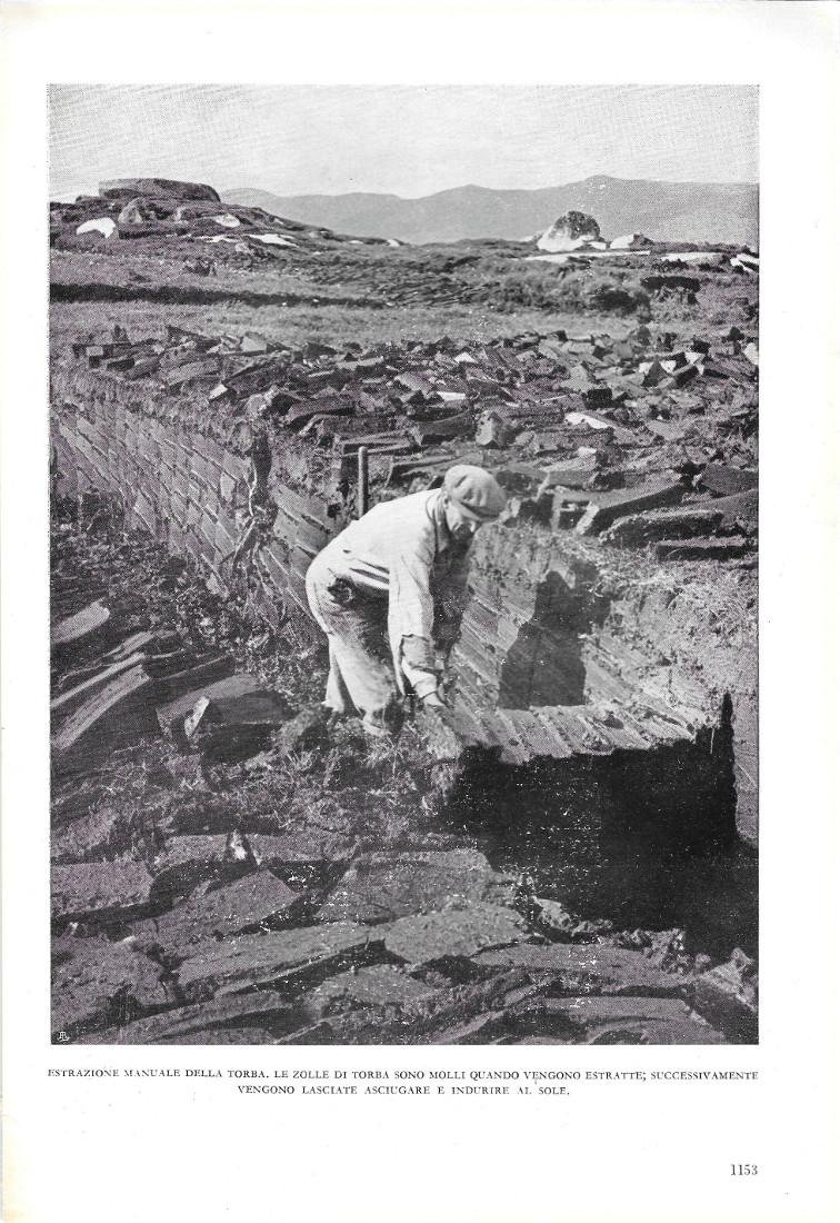 Estrazione manuale della torba. Stampa 1951