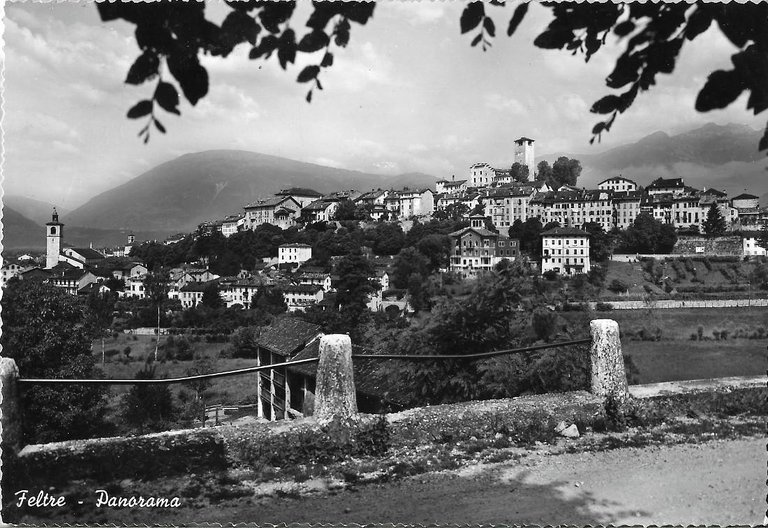 Feltre. Panorama. Non viaggiata