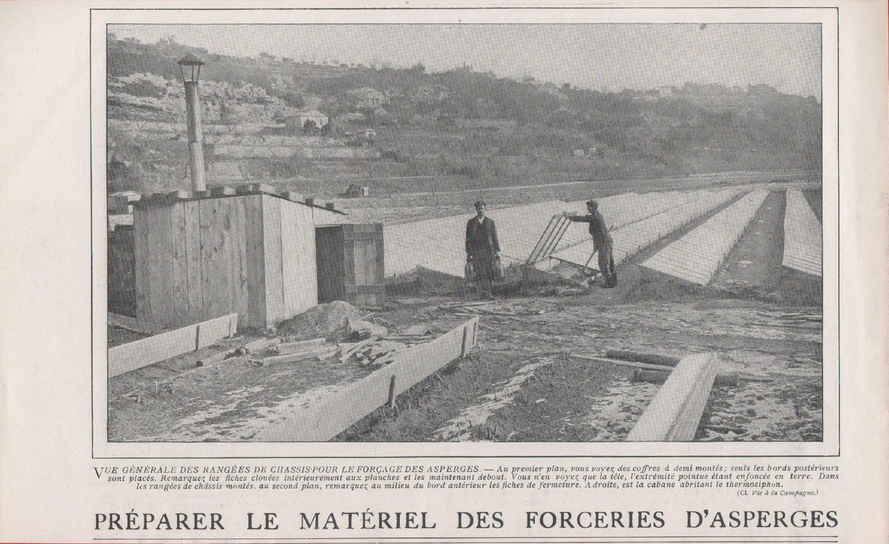 Forcieres d'esperges/Cheval de cavalerie legere en Camargue. Stampa 1911