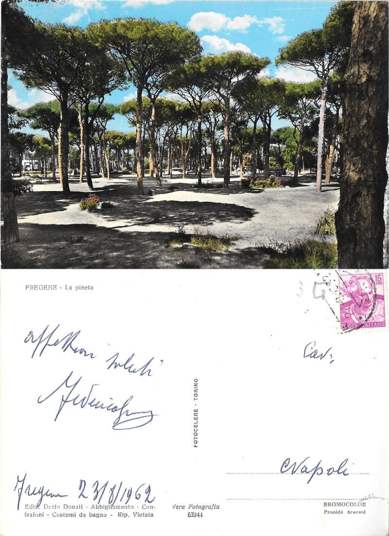 Fregene. La pineta. Viaggiata 1962