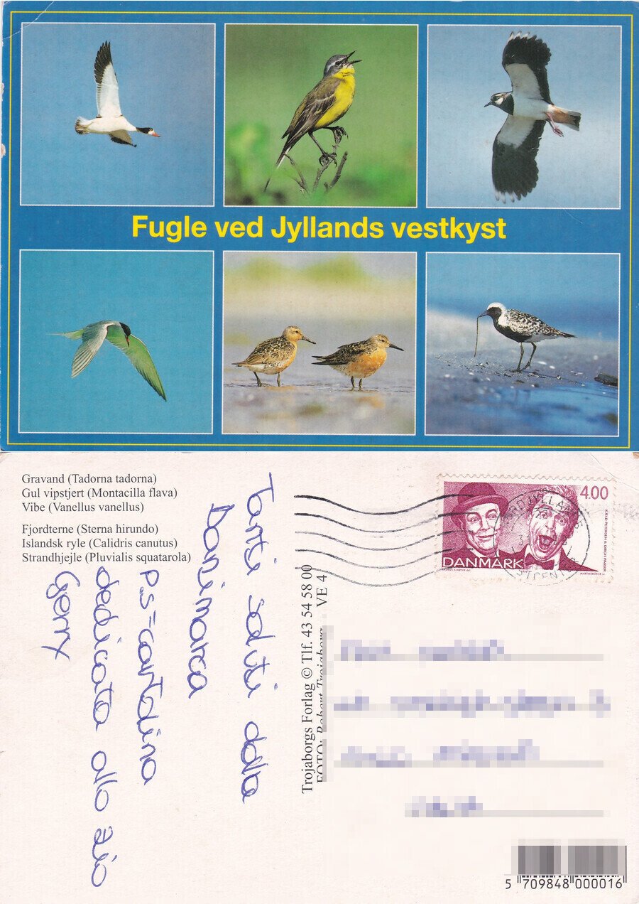 Fugle ved Jyllands vestkyst - Viaggiata