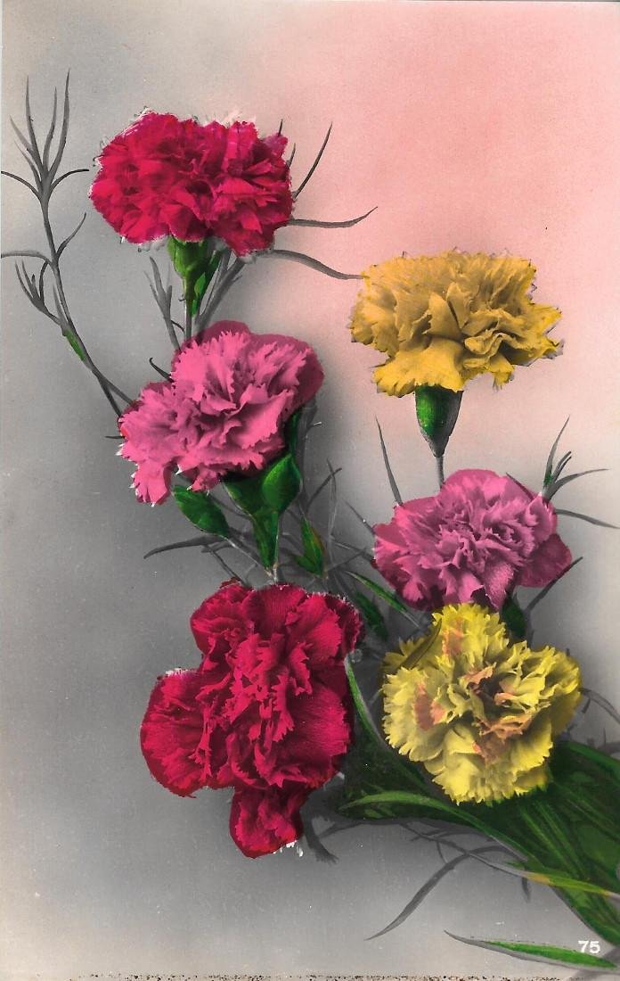 Garofani. Non viaggiata, originale 1942