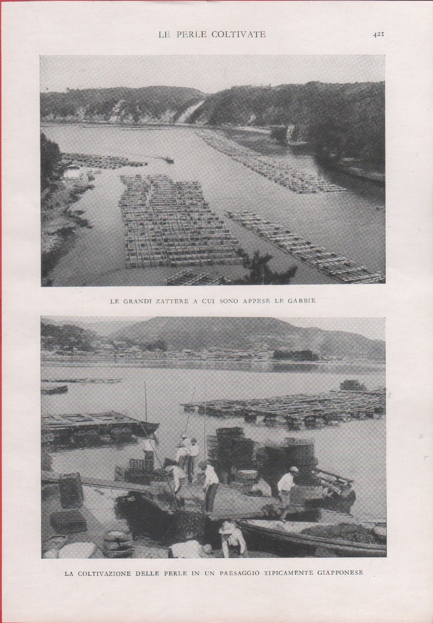 Giappone. Allevamento delle ostriche perlifere. Immagine 1937