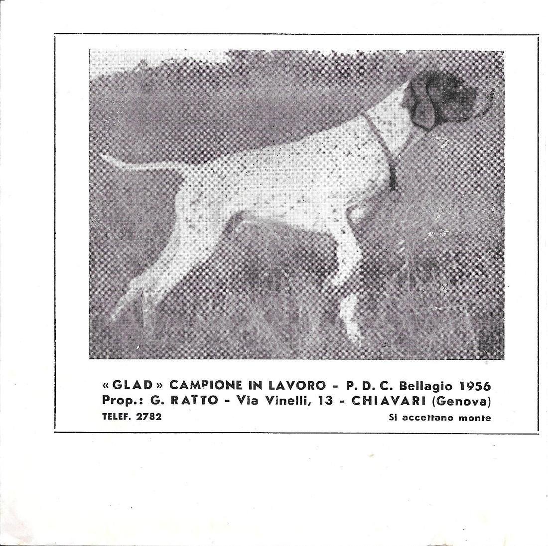 Glad, campione italiano in lavoro. G. Ratto Chiavari. Advertising 1957