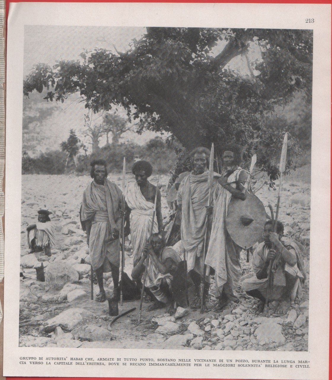 Gruppo di autorità Habab (Eritrea). Immagine 1937