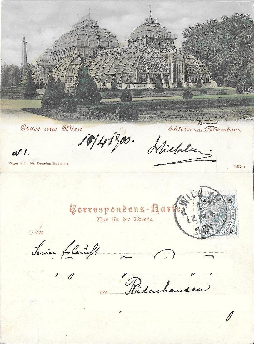 Gruss aus Wien, Schonbrunn Palmenhaus. Viaggiata 1900