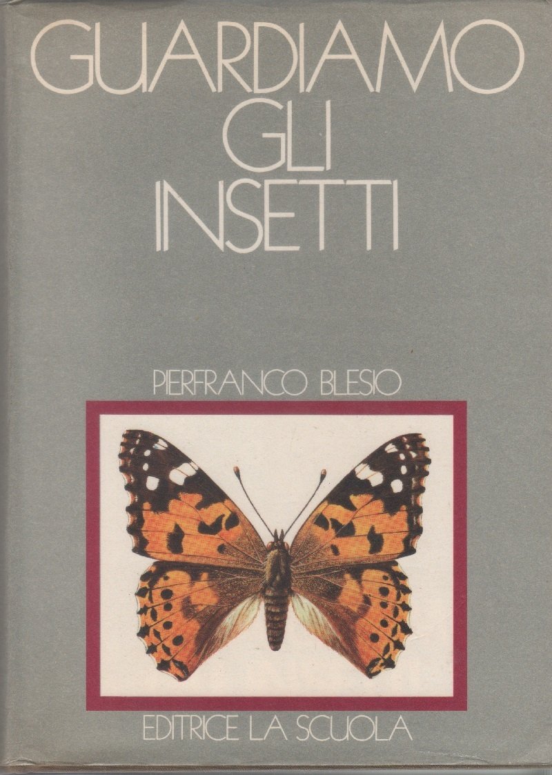 Guardiamo gli insetti