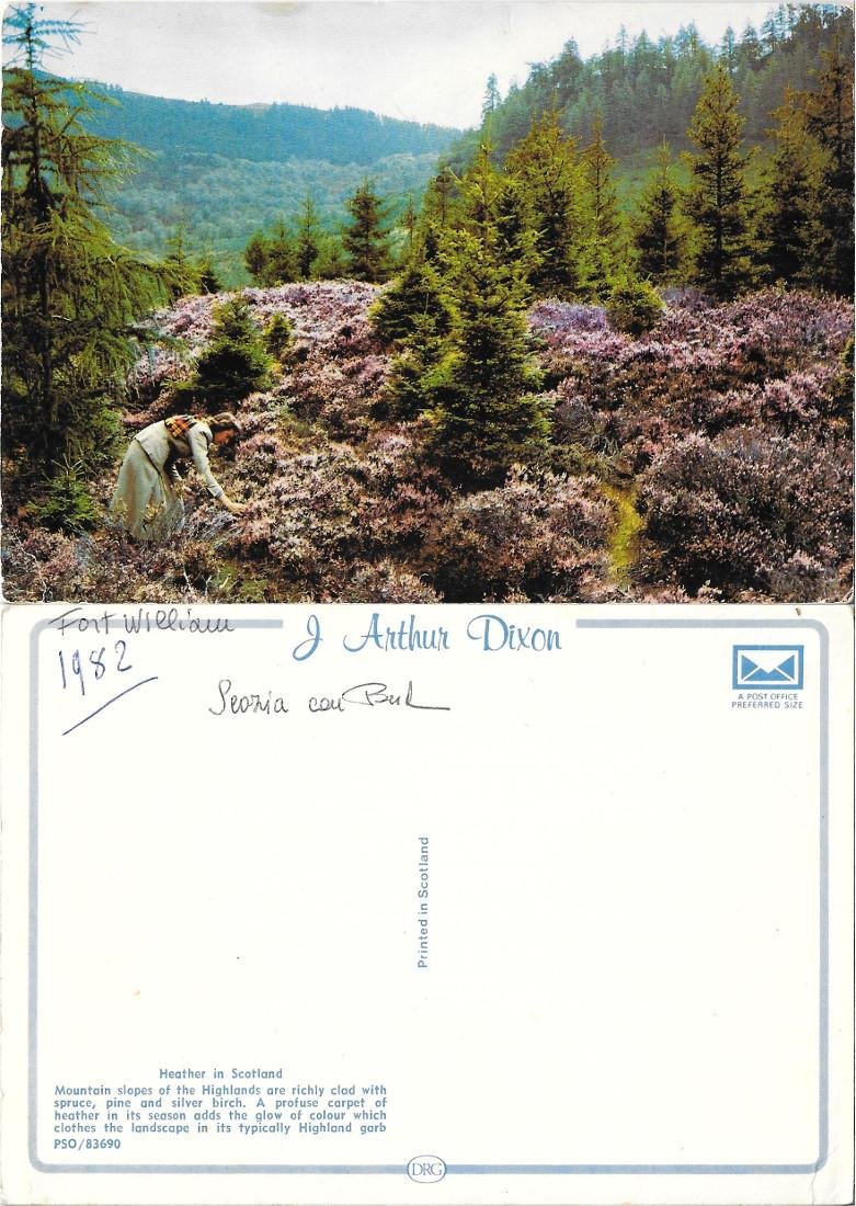 Heather in Scotland. Non viaggiata