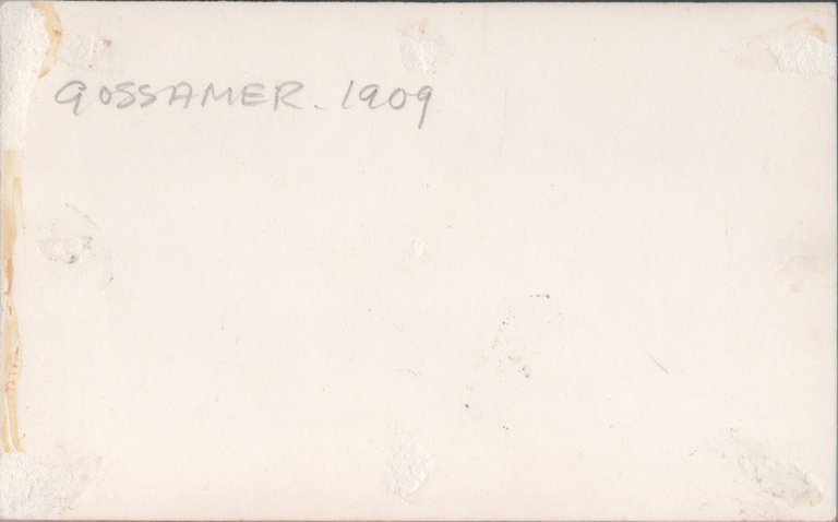 HMS Gossamer (1890). Photo