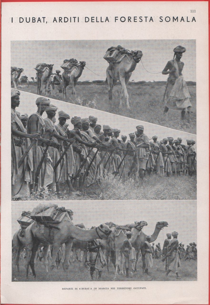 I Dubat, arditi della foresta somala / Le nuove vie …