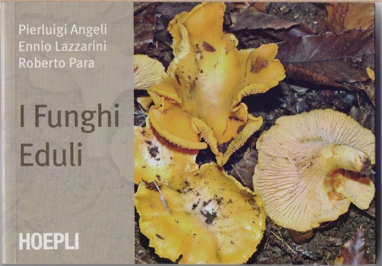 I funghi eduli - P. Angeli, E. Lazzarini, R.Para
