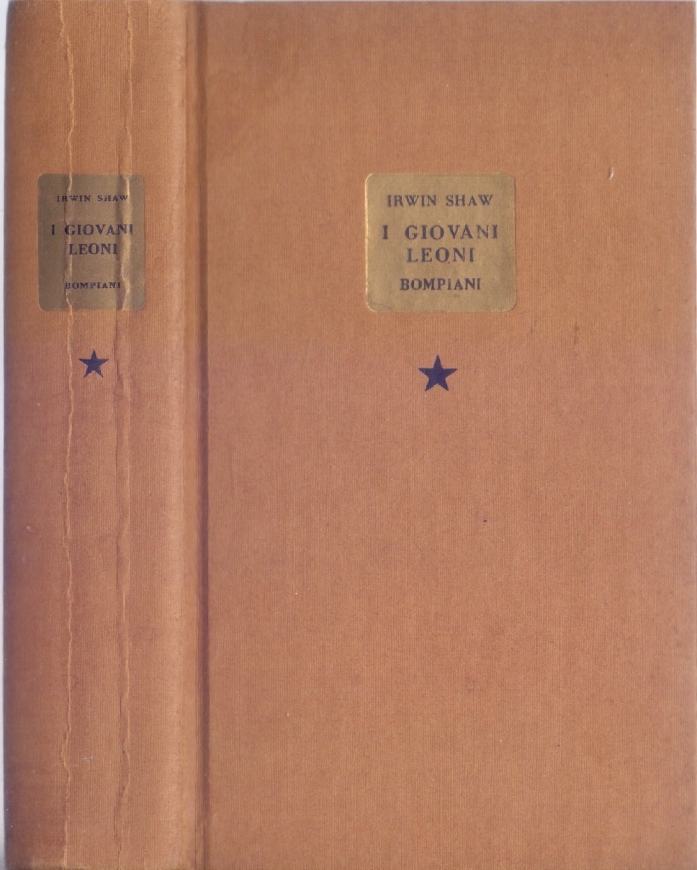 I giovani leoni - Irvin Shaw