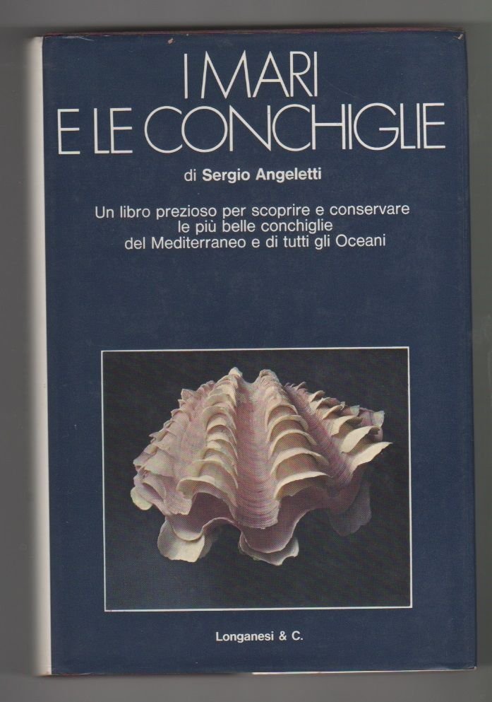 I mari e le conchiglie - Sergio Angeletti