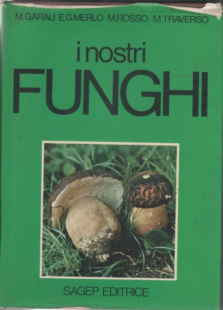 I nostri funghi