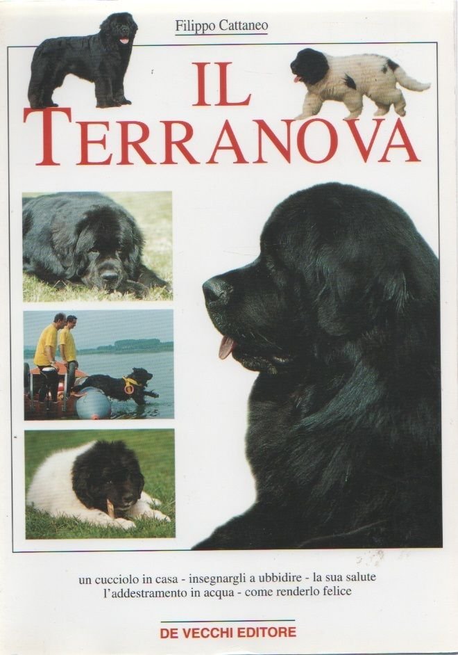 Il Terranova - Filippo Cattaneo