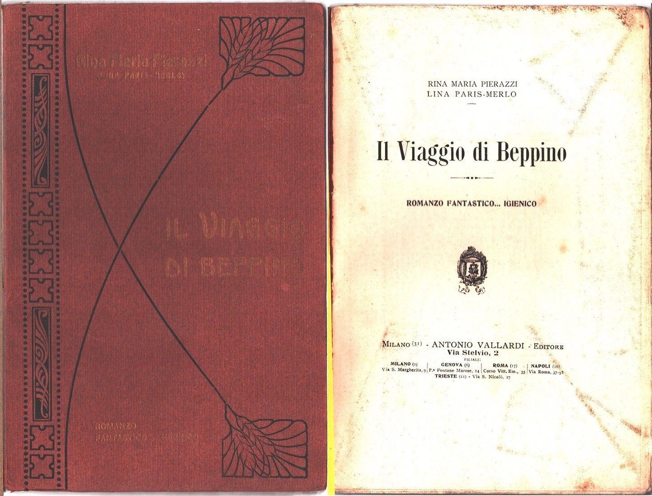 Il viaggio di Beppino. Romanzo fantastico ... igienico - Rina … | Immagine principale