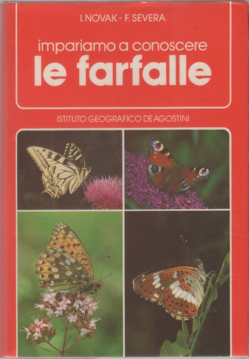 Impariamo a conoscere le farfalle
