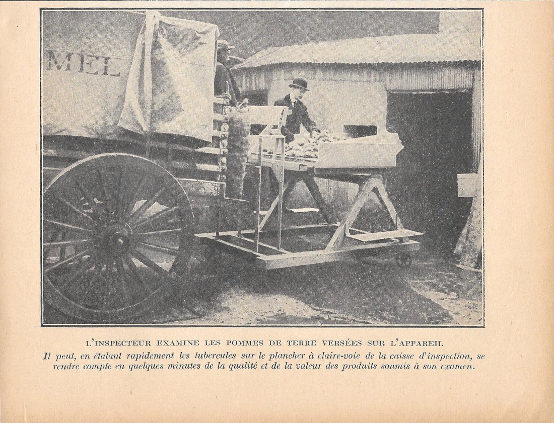 L'inspecteur examine les pommes de terre versées sur l'appareil - …
