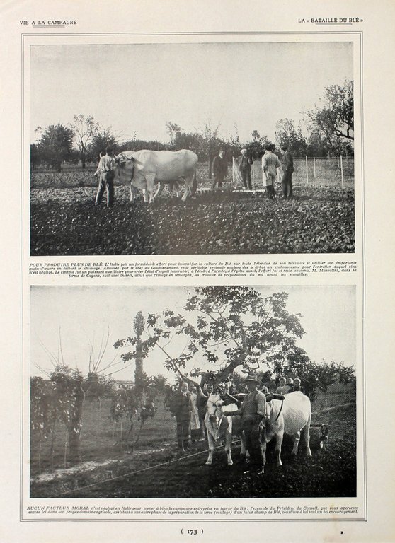 La Bataille du ble en Italie. Fronte/retro. Immagine 1927