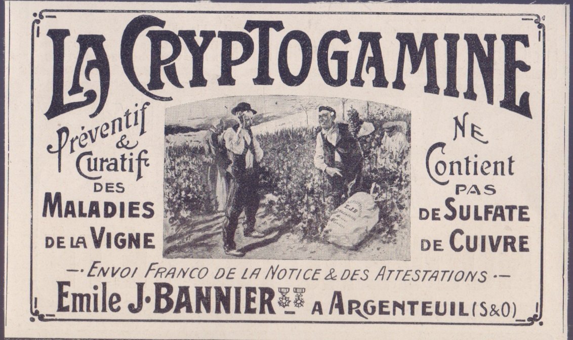 La Cryptogamine preventif e curatif de maladies de la vigne. …