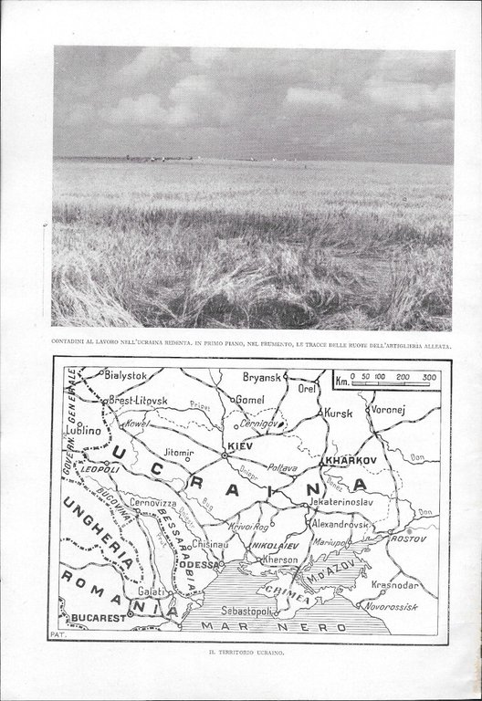 La guerra sul fronte sud - estratto 1941