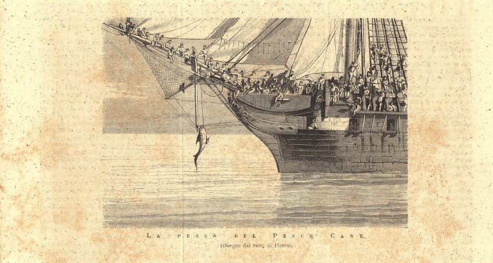 La pesca del pesce cane. Stampa 1876 | Immagine principale