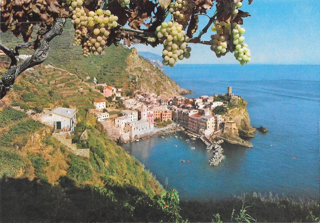 Le Cinque Terre (SP). Vernazza pittoresca. Non viaggiata