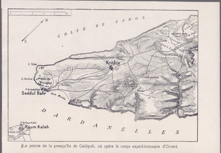 Le point de Gallipoli ou opere les corps expeitionnaire d'Orient. Illustrazione 1915