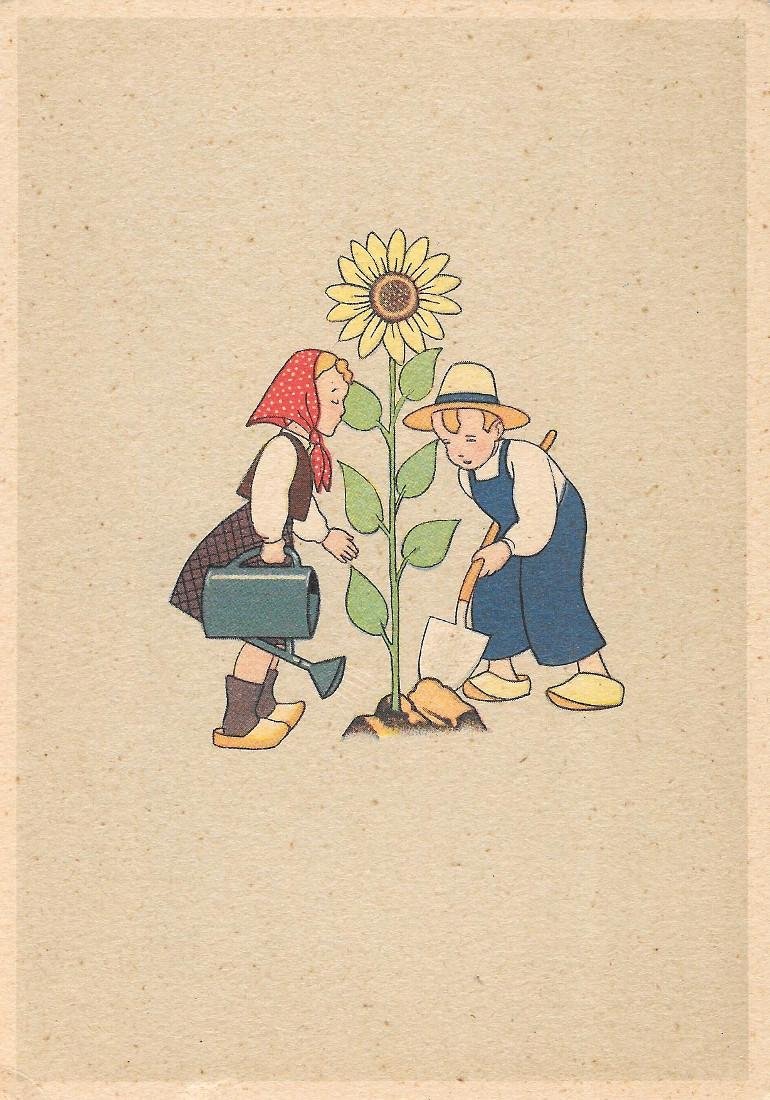 Le quattro stagioni: estate. Il girasole. Non viaggiata