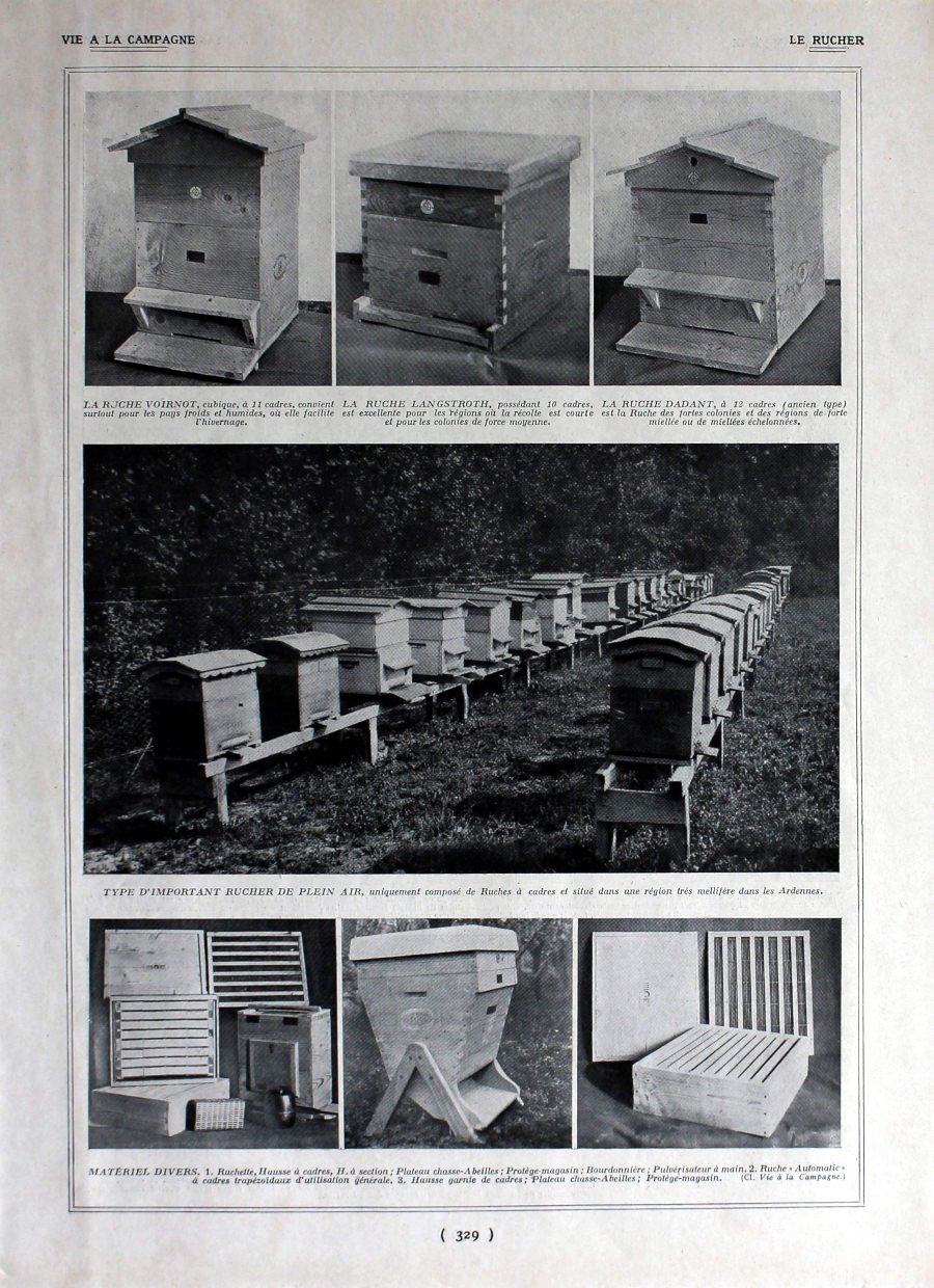 Le rucher. Immagine 1926