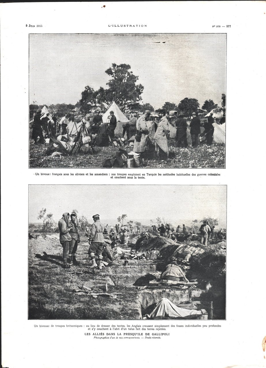 Les allies dans la presqu'ile de Gallipoli (WWI). Immagine 1915