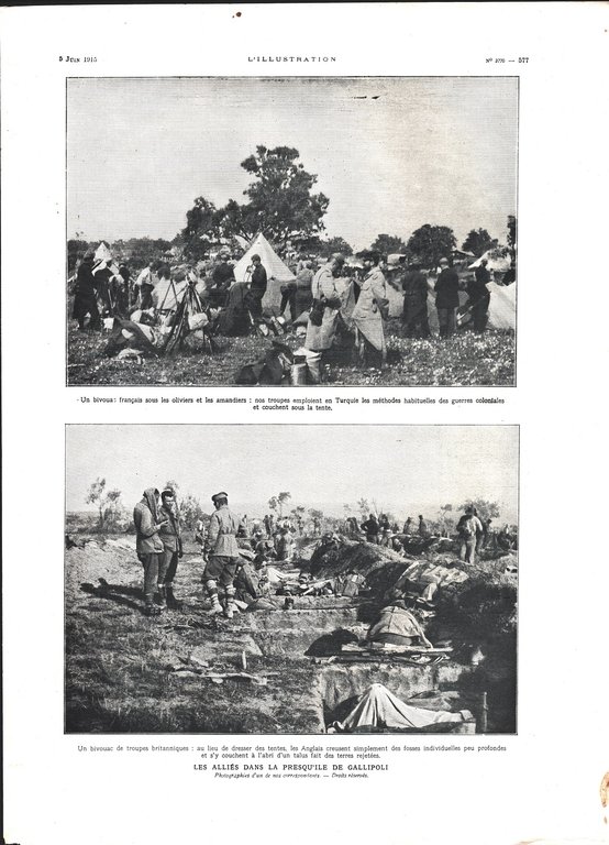 Les allies dans la presqu'ile de Gallipoli (WWI).  Immagine 1915