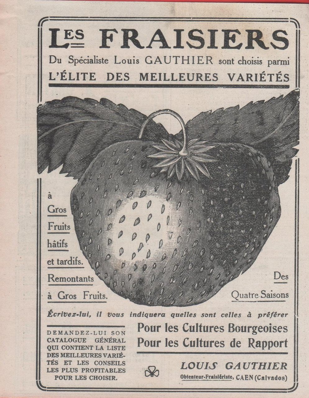 Les fraiers du specialiste Louis Gauthier. Caen. Advertising 1912