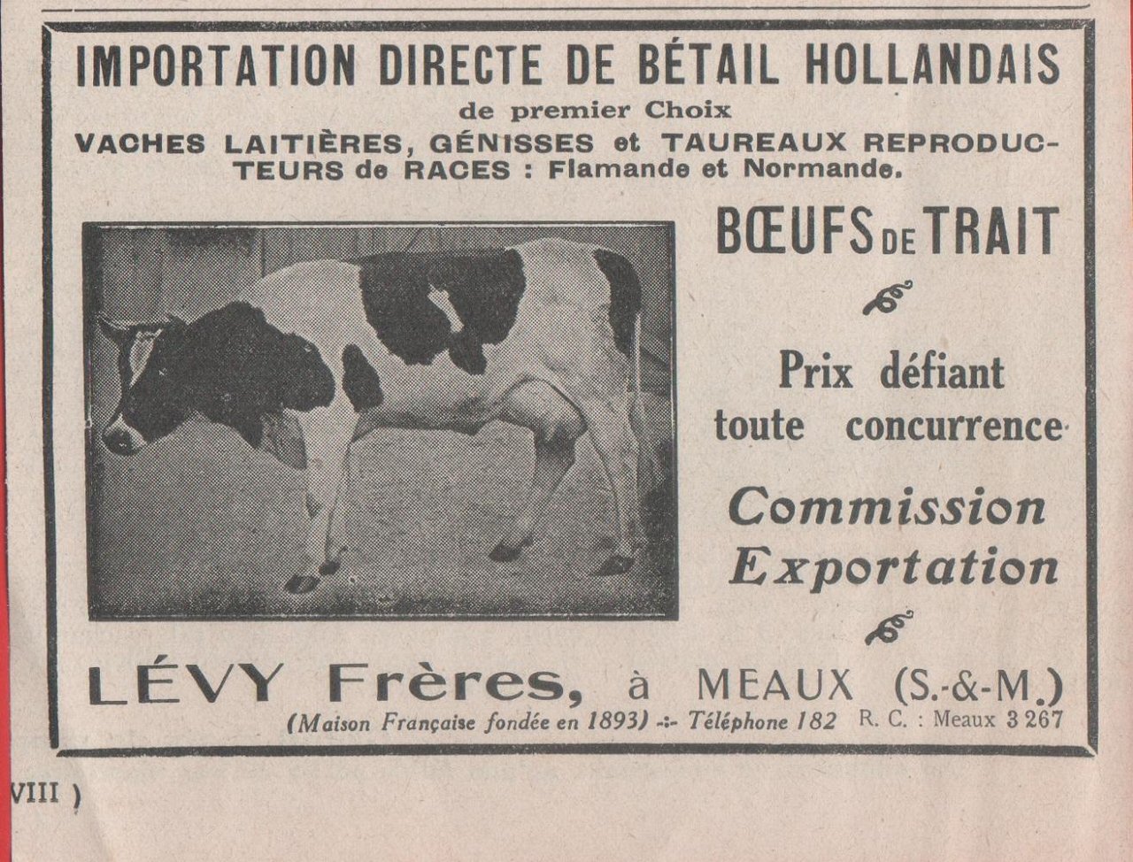 Lévy frères. Importation directe de betail hollandais. Advertising 1924