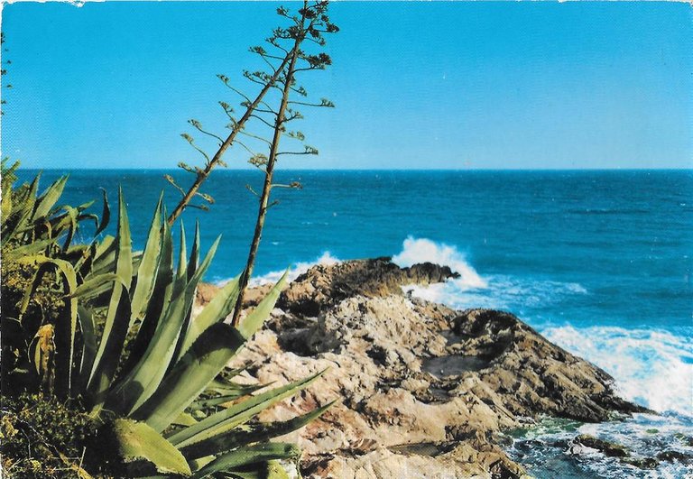 Liguria pittoresca. Con verso Iliade al retro. Non viaggiata