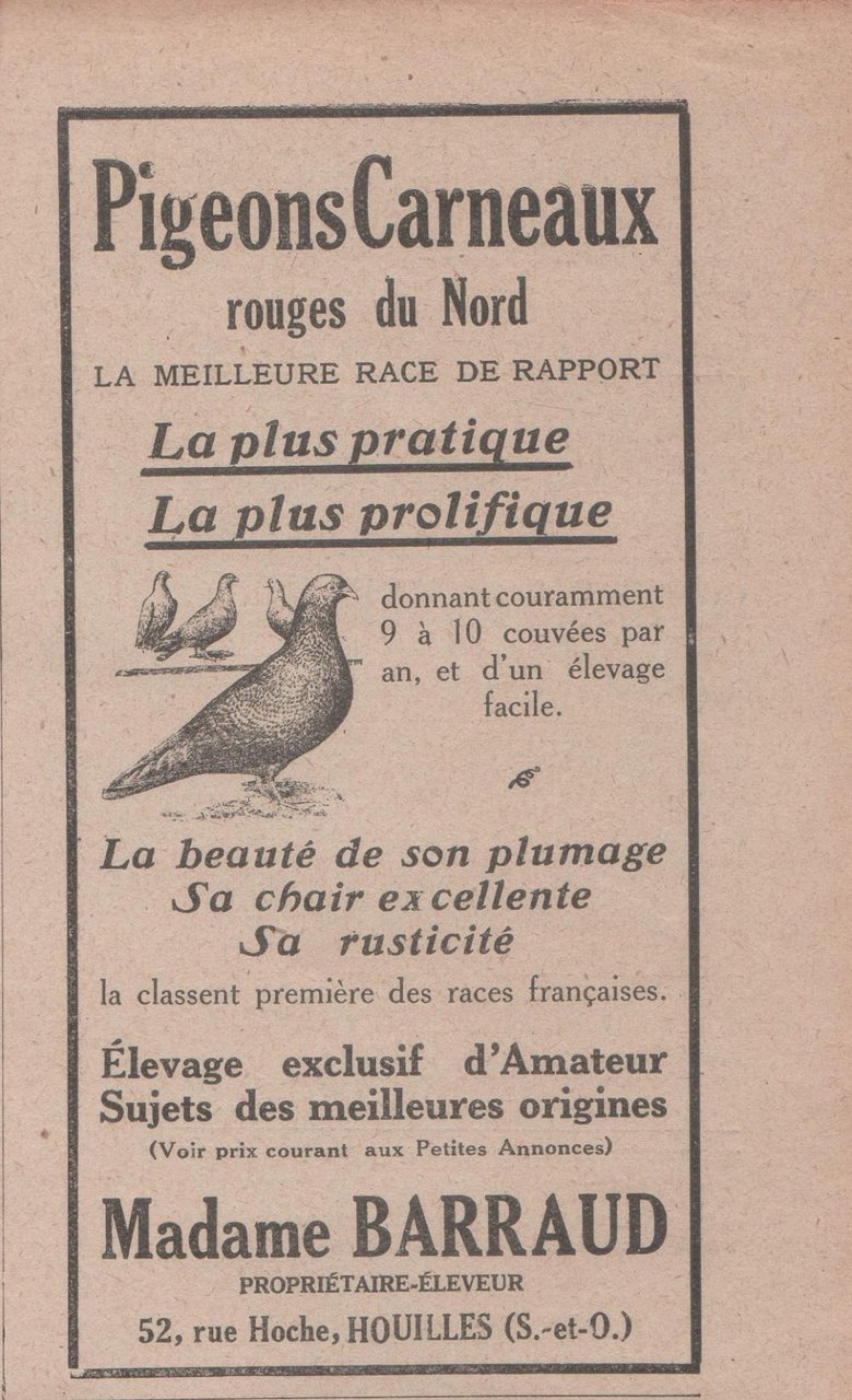Madame Barraud , Houilles S.etO., Pigeons Carneaux rouges du Nord. …