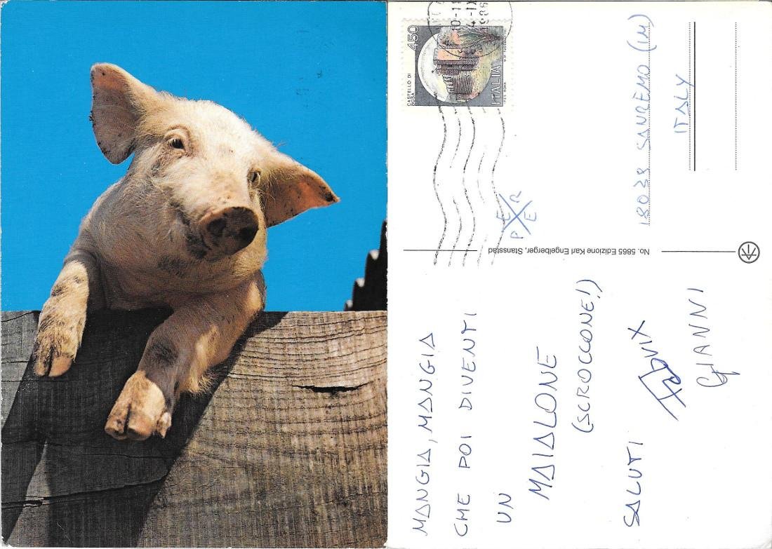 Maialino. Viaggiata 1986