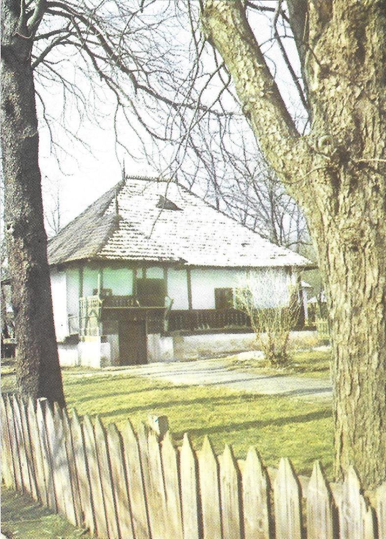 Maison du village Traisteni. District de Prahova(Romania). Non viaggiata