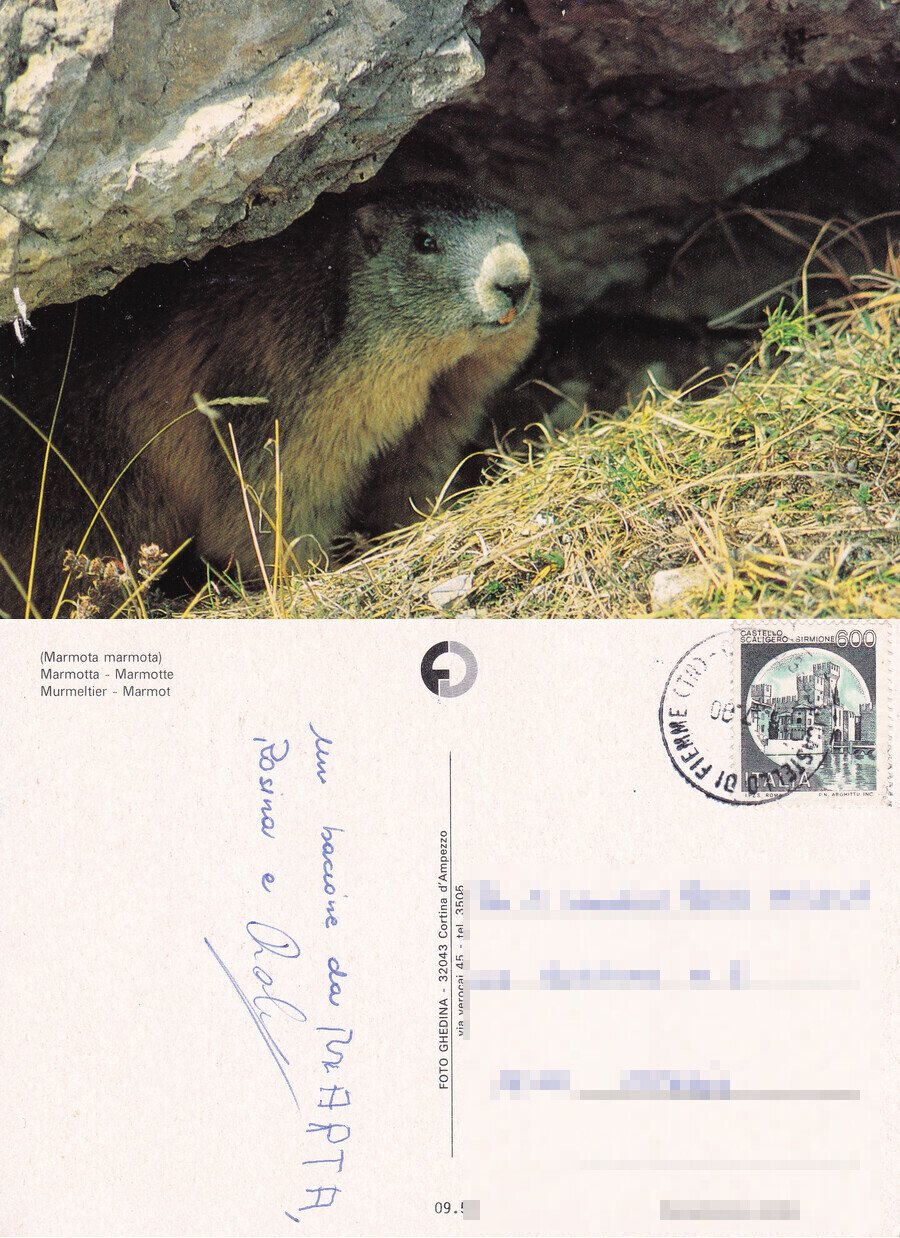 Marmotta. Viaggiata