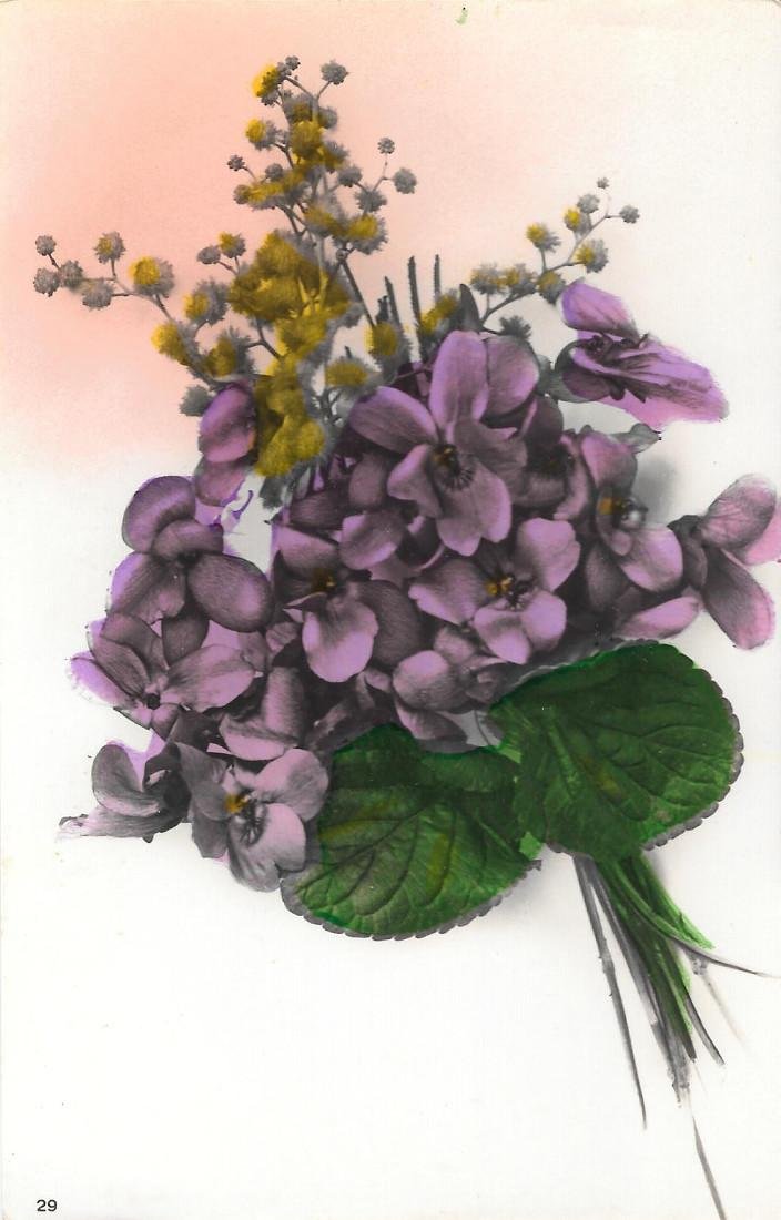 Mazzetto di viole e mimose. Non viaggiata, originale