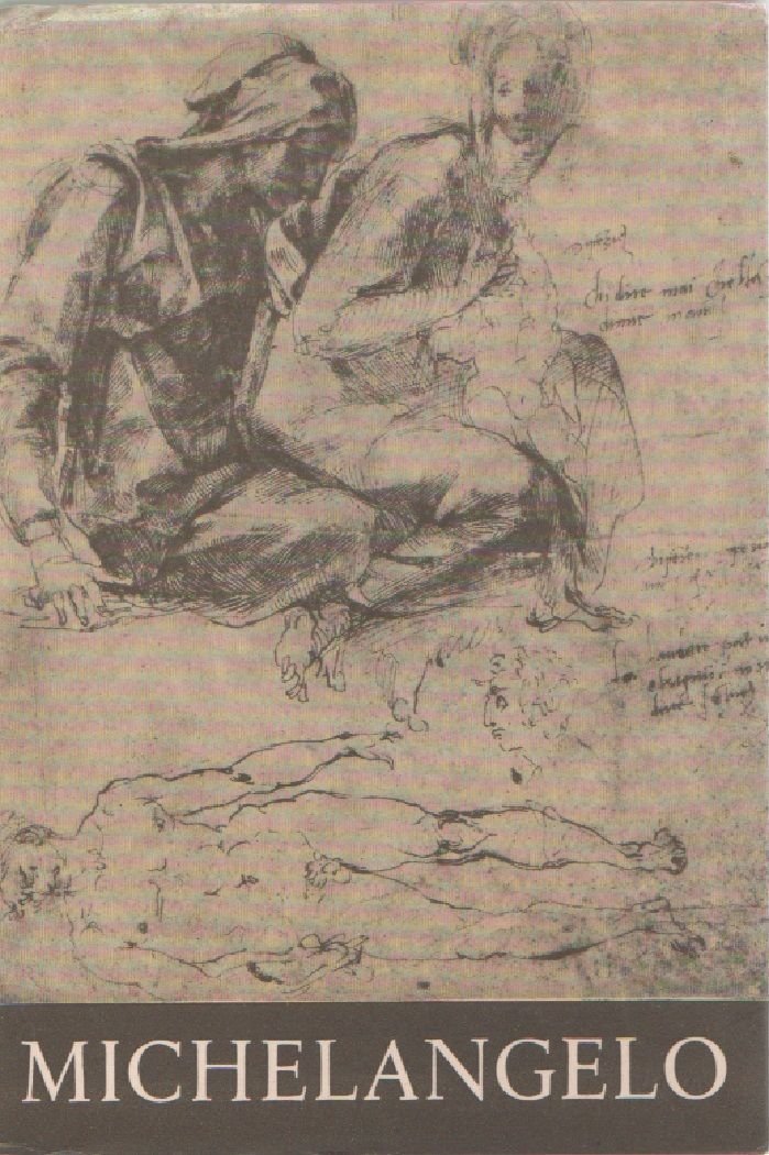 Michelangelo - Jacopo Recupero