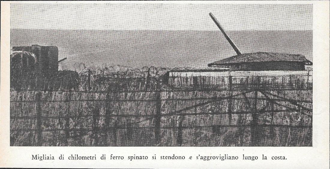 Migliaia di chilometri di ferro spinato si stendono lungo la …