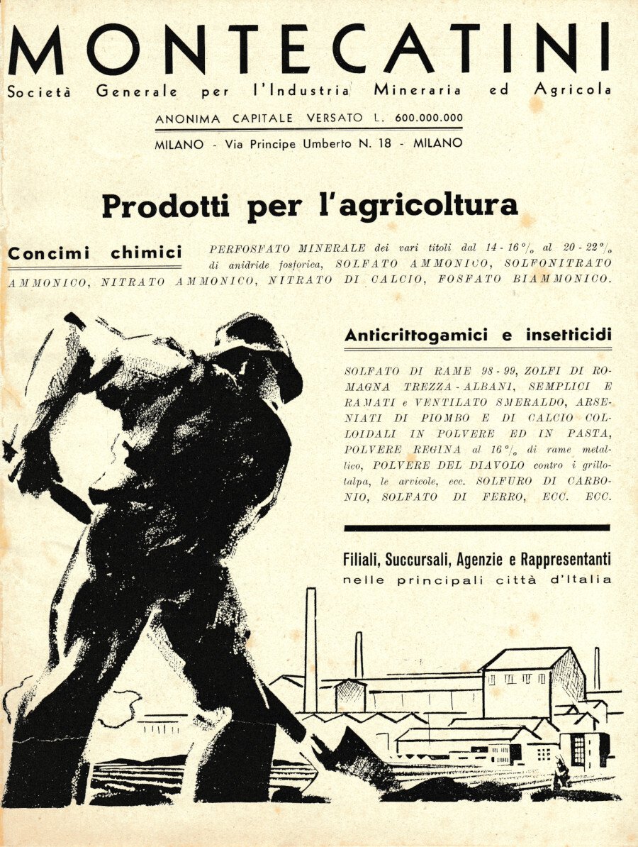 Montecatini prodotti per agricolture/Nitrato naturale. Advertising 1936