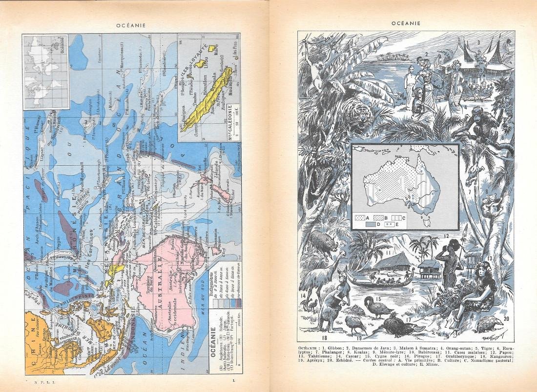 Oceanie. Stampa 1954, fronte/retro