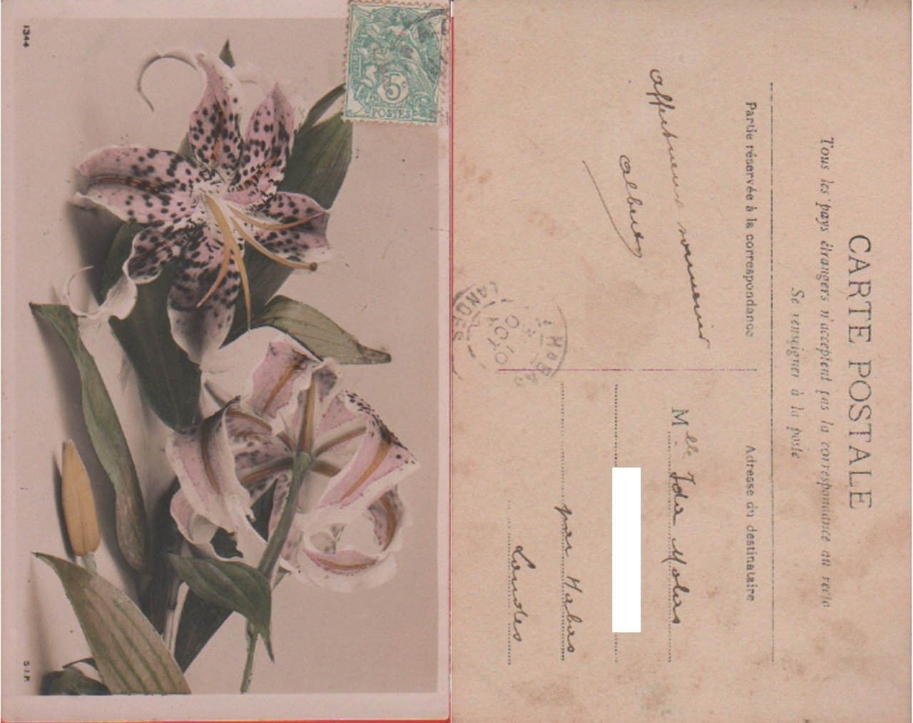 Orchidea rosa (Francia). Viaggiata