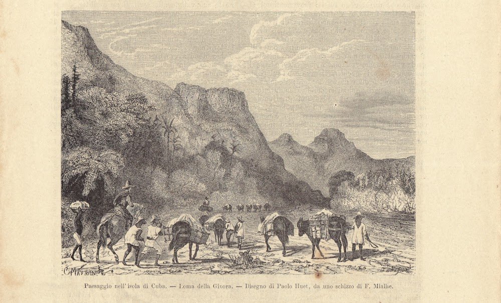 Paesaggio nell'isola di Cuba. Loma della Givora. Illustrazione 1864