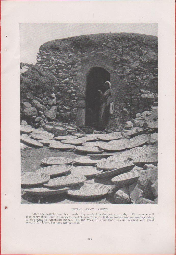 Palestine. Drying straw baskets. Foto da rivista 1914