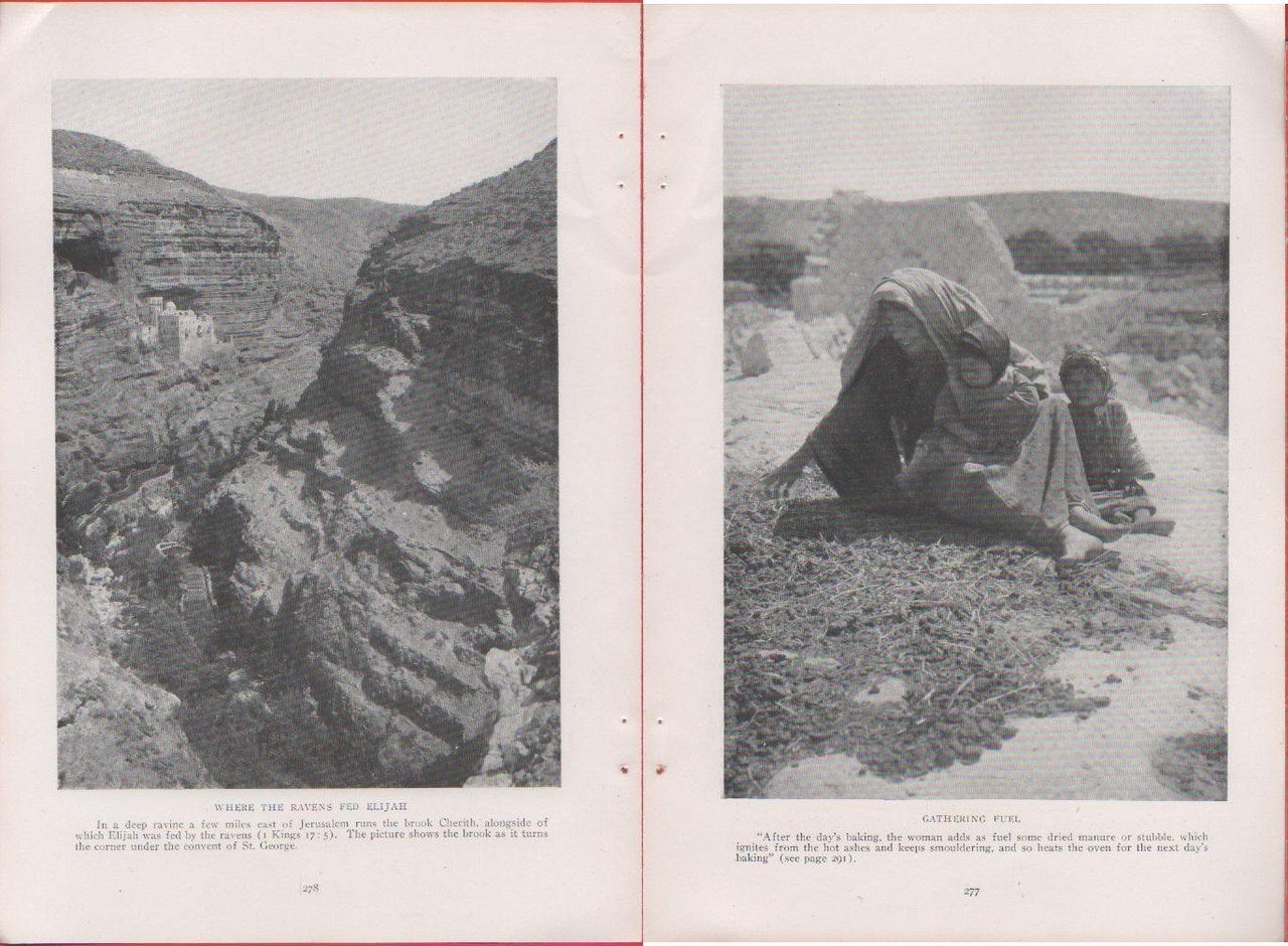 Palestine. Where the ravens fed Elijah/Gathering fuel. Foto da rivista …