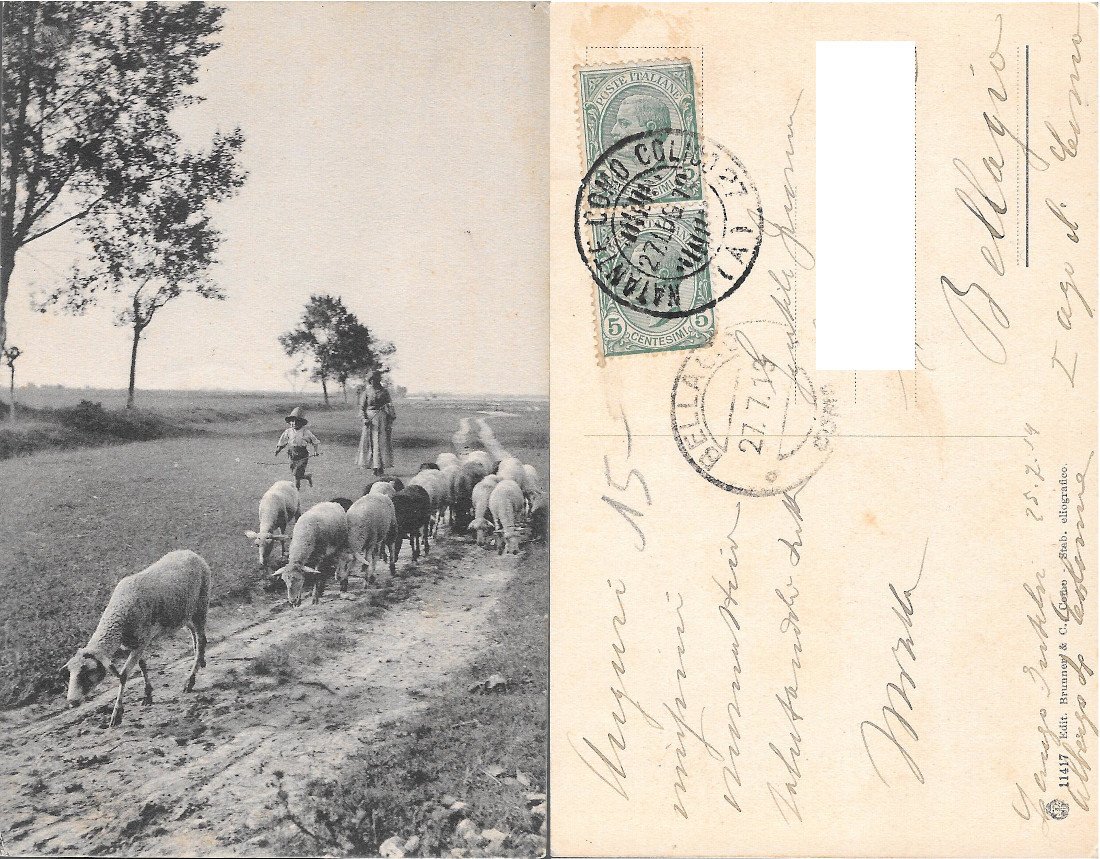 Pastori con pecore. Viaggiata 1913
