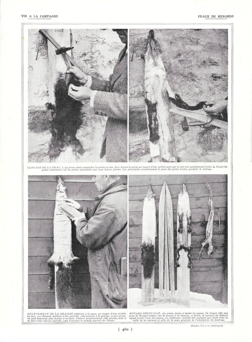 Peaux de Renards - Immagine 1924